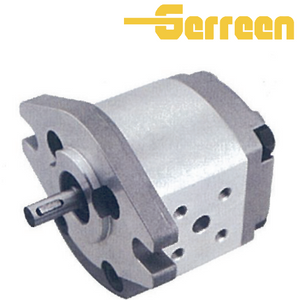 Effiziente Zahnradpumpe der Serie CBW-F200