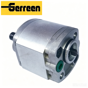 Dichtungssatz f&uuml;r hydraulische Zahnradpumpen der Serie RGP-F100